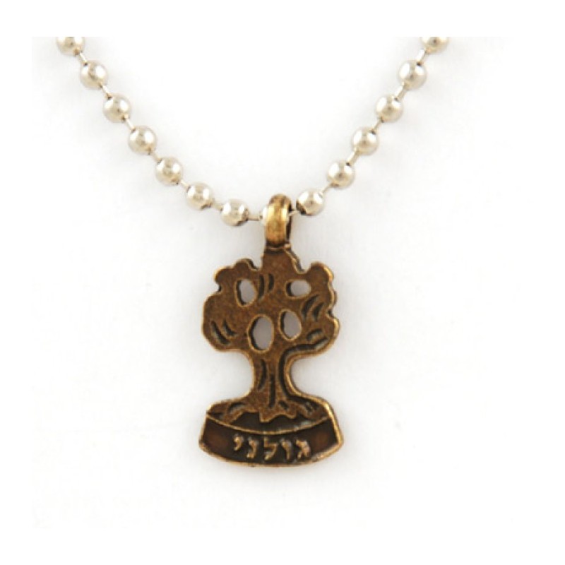 Collier Bronze Pendentif Armée Israélienne avec Golani Tre... | Armée israélienne