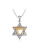Pendant Necklace Star of David and Chai... | Chai Necklaces & Pendants