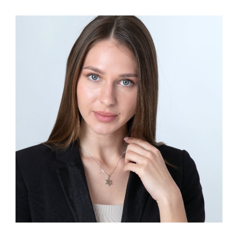 Pendant Necklace Star of David and Chai... | Chai Necklaces & Pendants