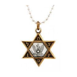 Necklace IDF Star of David Bronze Pendant and Air Fo... | Israeli Army