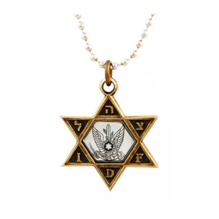 Necklace IDF Star of David Bronze Pendant and Air Fo... | Israeli Army