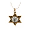 Necklace IDF Star of David Bronze Pendant and Air Fo... | Israeli Army