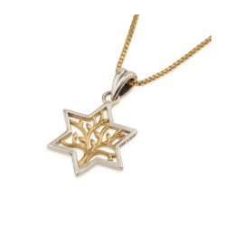 Sterling Silver Pendant Necklace Star of David Enc... | Jewish Pendant