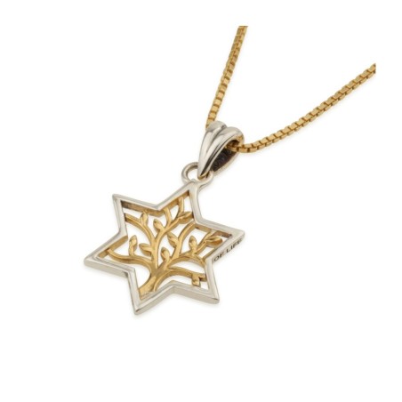 Sterling Silver Pendant Necklace Star of David Enc... | Jewish Pendant