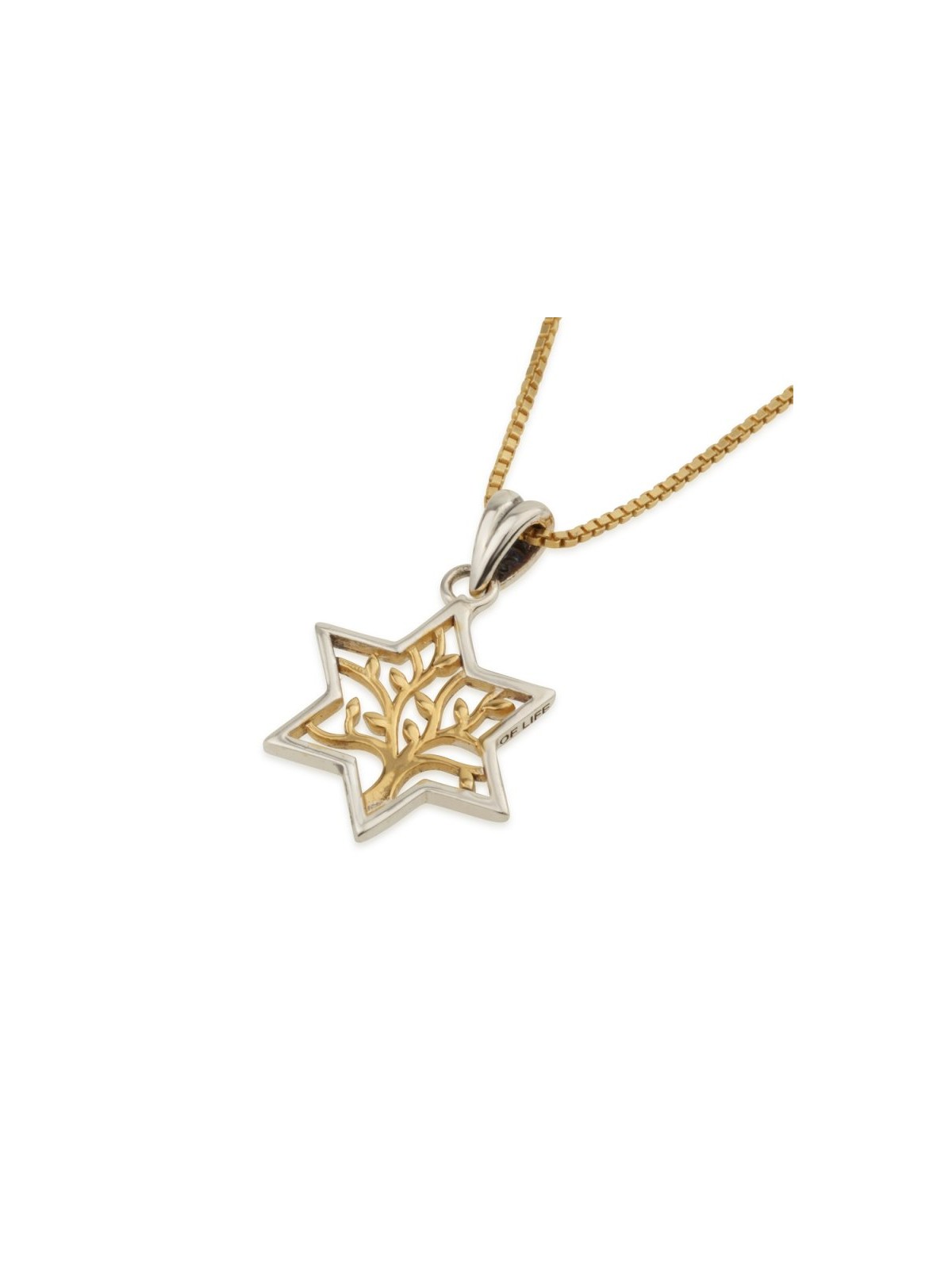Sterling Silver Pendant Necklace Star of David Enc... | Jewish Pendant