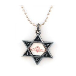 Necklace Star of David Pendant with Reflective Parat... | Israeli Army