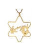18K Gold Plated Star of David Heart Hebrew N... | Personalized Jewelry