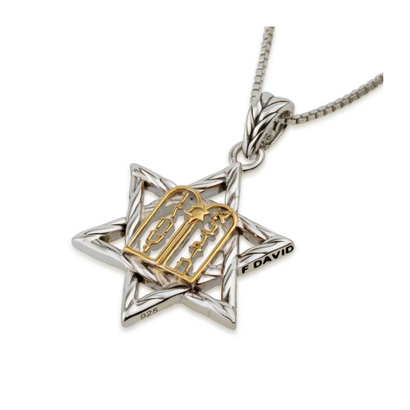 Sterling Silver Pendant Necklace Gold Plated Ten C... | Jewish Pendant