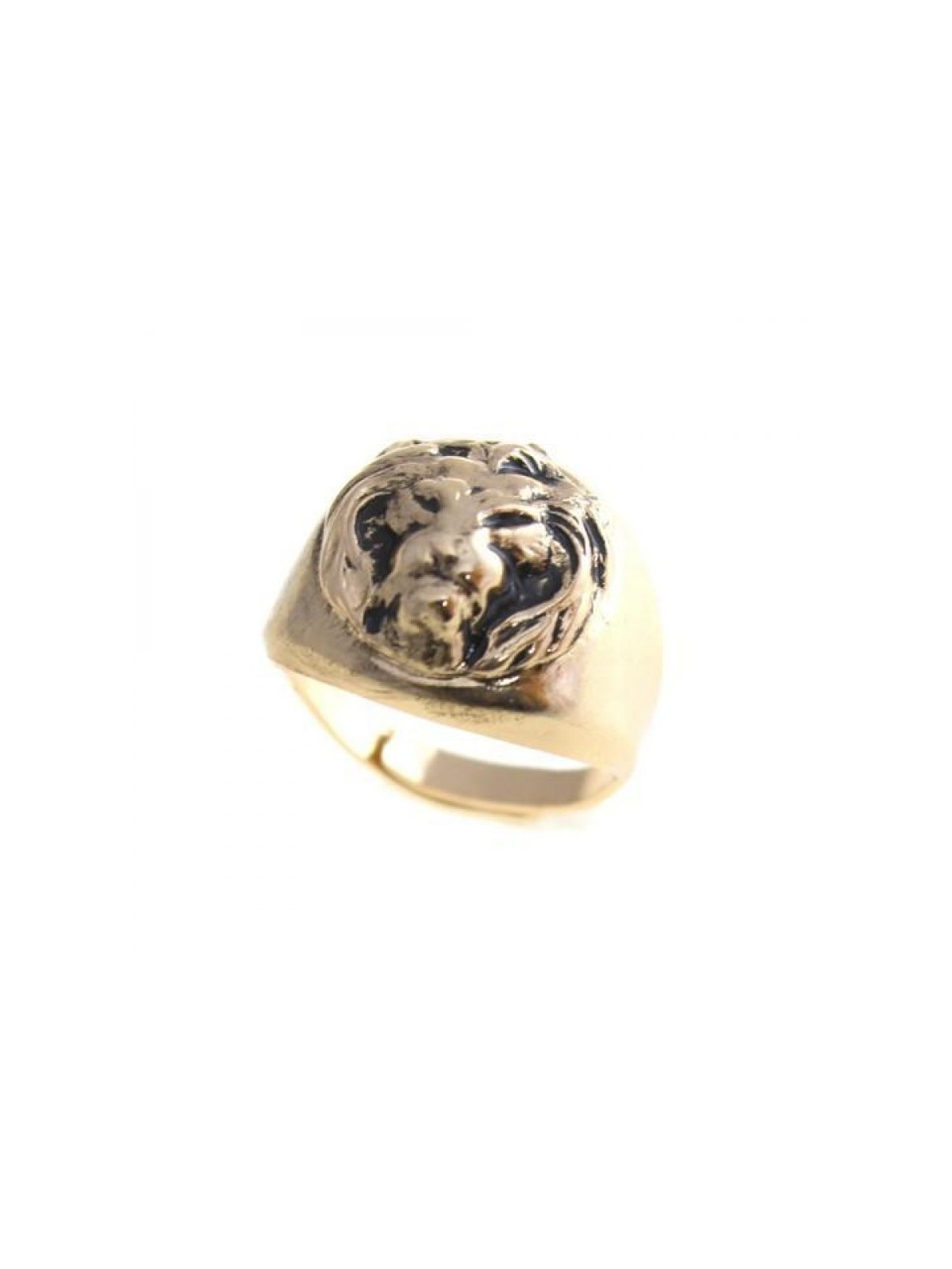 Amaro Signet Ring Lion of Judah | Jewish Rings