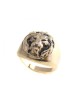 Amaro Signet Ring Lion of Judah | Jewish Rings