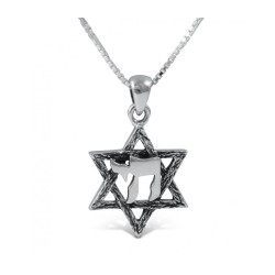 Star of David with Hebrew Chai 925 Ster... | Chai Necklaces & Pendants