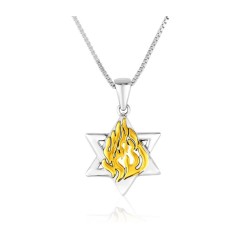 Sterling Silver Pendant Necklace Star of David and... | Jewish Pendant
