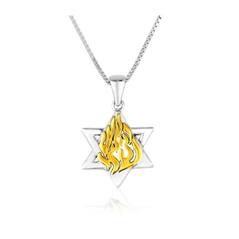 Collier pendentif en argent sterling Étoile de David et... | Pendentif juif