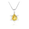 Sterling Silver Pendant Necklace Star of David and... | Jewish Pendant