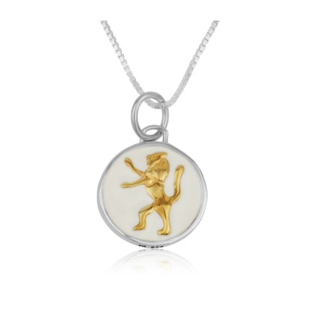 Collier pendentif en argent sterling plaqué or Lion... | Pendentif juif