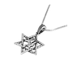 Sterling Silver Pendant Necklace Star of David Enc... | Jewish Pendant