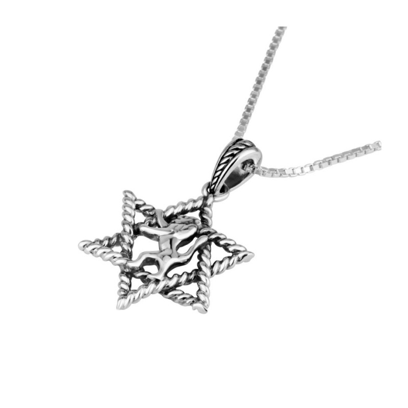Collier pendentif en argent sterling Étoile de David Enc... | Pendentif juif