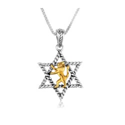 Sterling Silver Pendant Gold Plated Lion Of Judah ... | Jewish Pendant