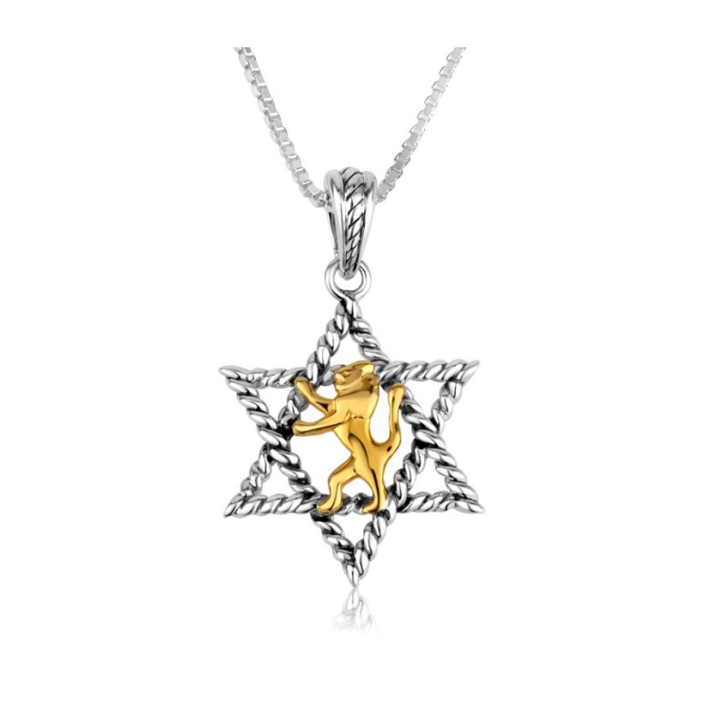 Pendentif en argent sterling plaqué or Lion de Juda... | Pendentif juif