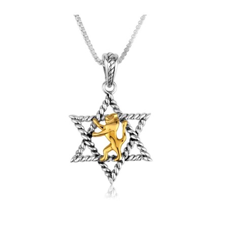 Pendentif en argent sterling plaqué or Lion de Juda... | Pendentif juif