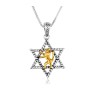 Sterling Silver Pendant Gold Plated Lion Of Judah ... | Jewish Pendant