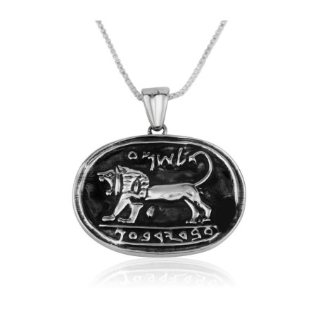 Sterling Silver Pendant Necklace Lion of Judah on ... | Jewish Pendant