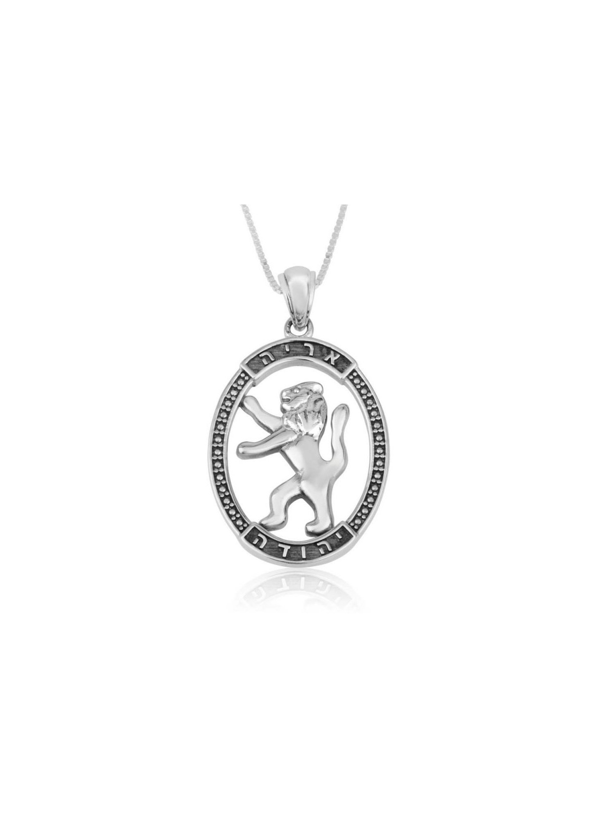 Collier pendentif en argent sterling Lion de Juda en... | Pendentif juif