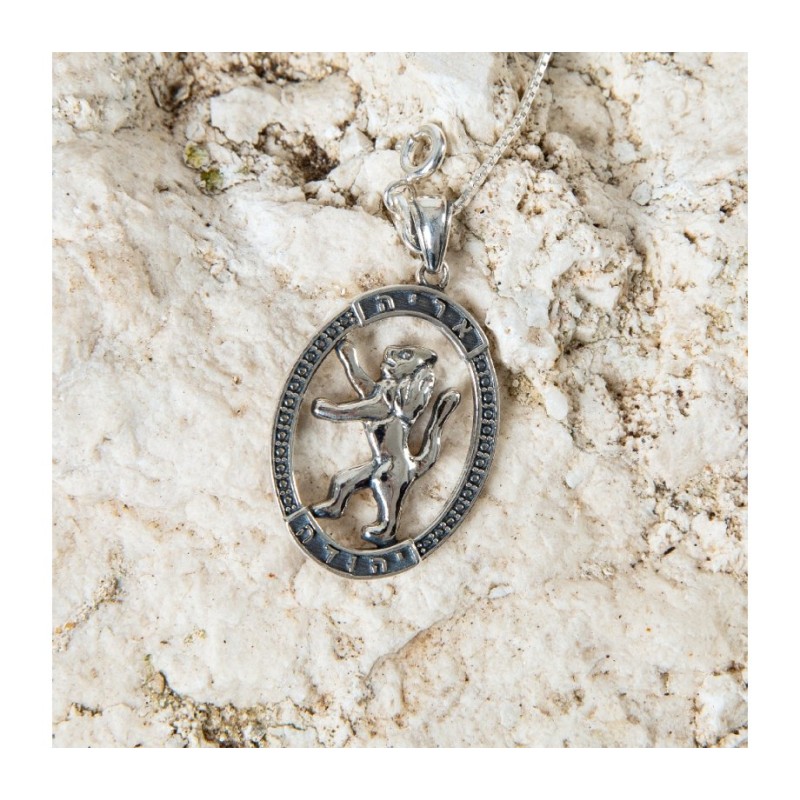 Sterling Silver Pendant Necklace Lion Of Judah in ... | Jewish Pendant