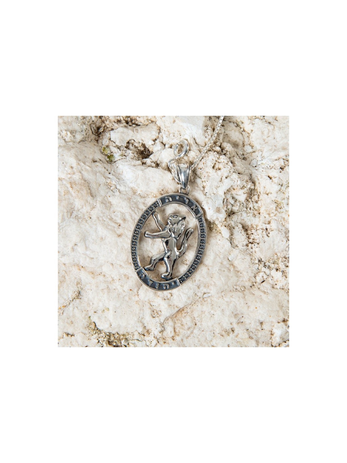 Collier pendentif en argent sterling Lion de Juda en... | Pendentif juif