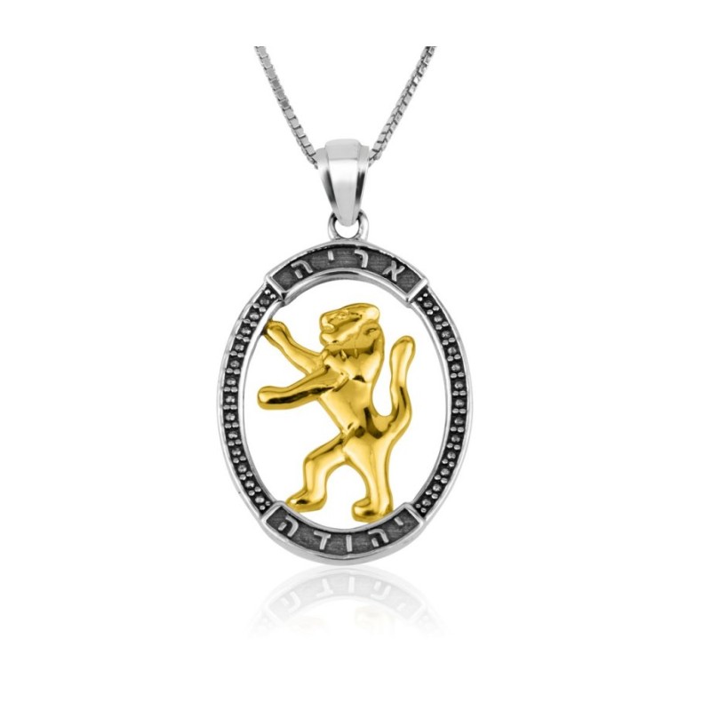 Sterling Silver Pendant Gold Plated Lion Of Judah ... | Jewish Pendant