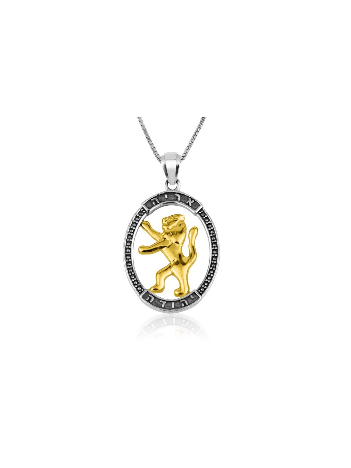 Sterling Silver Pendant Gold Plated Lion Of Judah ... | Jewish Pendant