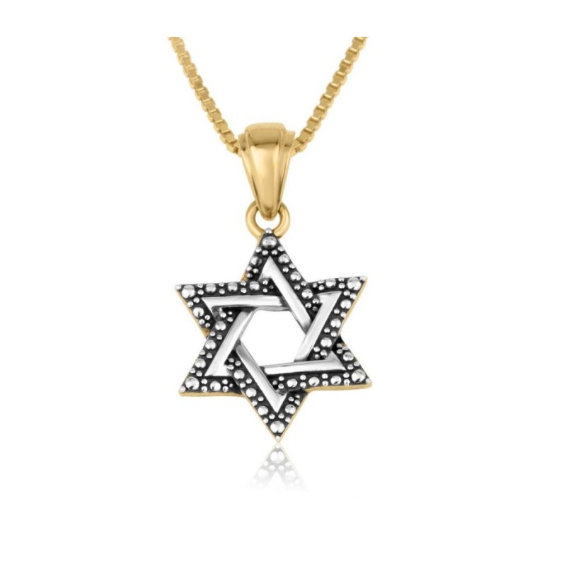 Sterling Silver and 15K Gold Star of Davi... | Jewish Gift from Israel