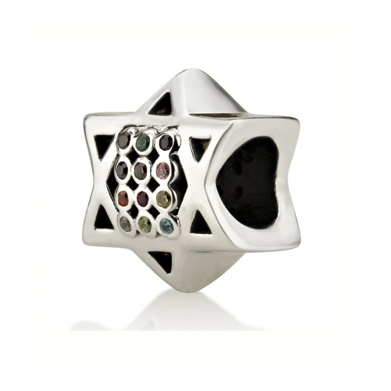 Sterling Silver Star of David Double Sided Breastp... | Judaica Charms