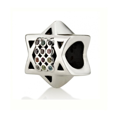 Sterling Silver Star of David Double Sided Breastp... | Judaica Charms