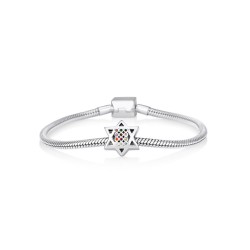 Sterling Silver Star of David Double Sided Breastp... | Judaica Charms