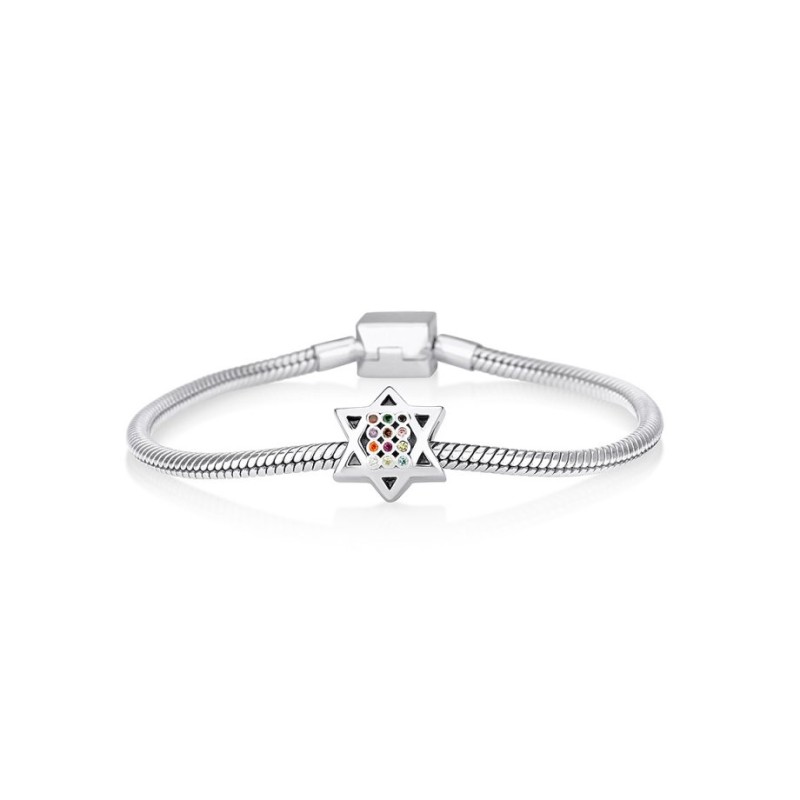Sterling Silver Star of David Double Sided Breastp... | Judaica Charms