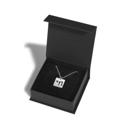 Adi Sidler Stainless Steel Necklace CHAI Pendant w... | Jewish Pendant