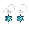 Baby Blue Flowers Star of David Earrings | Earrings