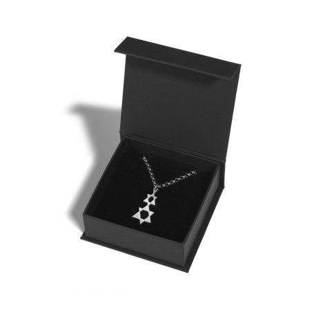 Adi Sidler Collier en acier inoxydable avec double st... | Pendentif juif