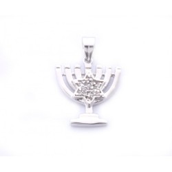 Gold Filled 7 Branch Menorah Pendant with Star o... | Menorah Pendants