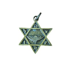 Collier Pendentif Étoile de David en Bronze avec Parachutiste... | Armée israélienne