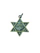 Necklace Star of David Bronze Pendant with Paratroop... | Israeli Army