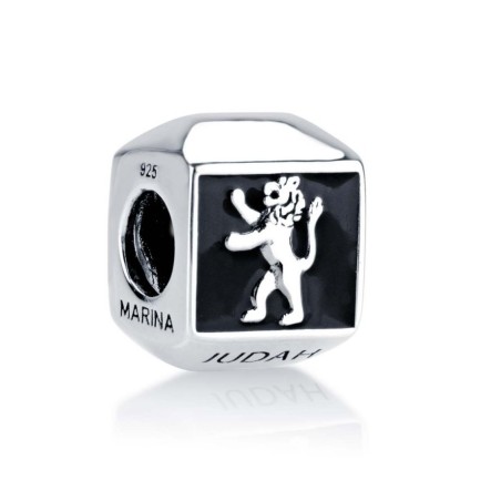 Sterling Silver Square Lion of Judah Charm | Judaica Charms
