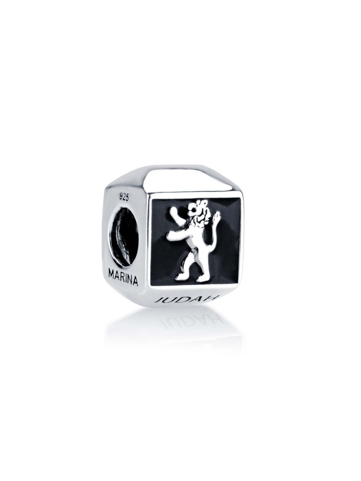 Sterling Silver Square Lion of Judah Charm | Judaica Charms