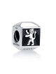 Sterling Silver Square Lion of Judah Charm | Judaica Charms