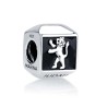 Sterling Silver Square Lion of Judah Charm | Judaica Charms