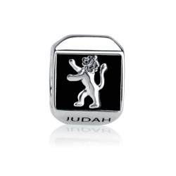 Sterling Silver Square Lion of Judah Charm | Judaica Charms