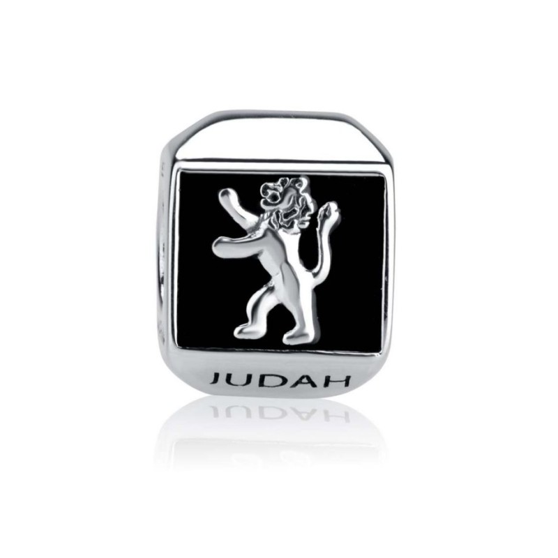 Sterling Silver Square Lion of Judah Charm | Judaica Charms