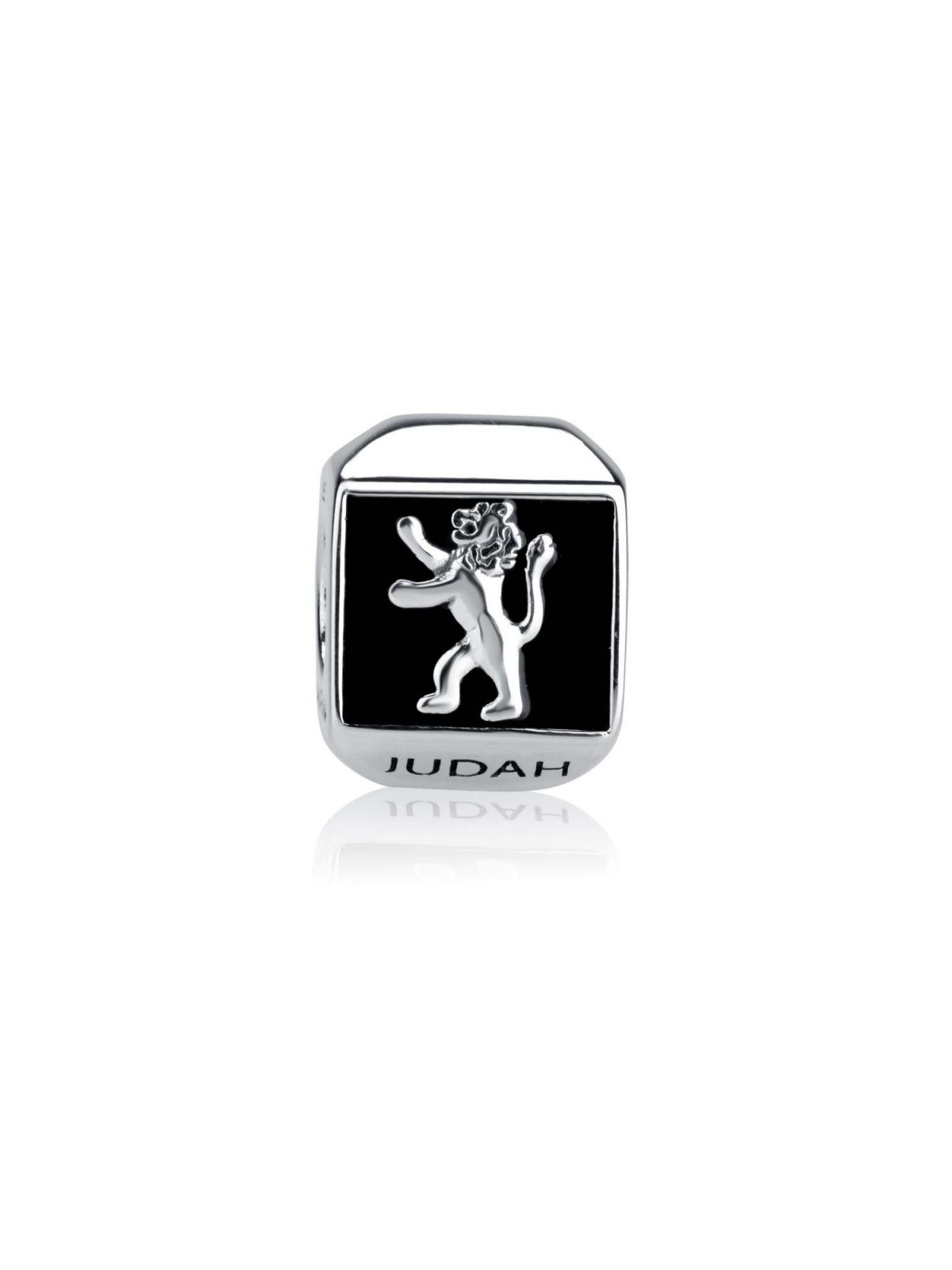 Sterling Silver Square Lion of Judah Charm | Judaica Charms