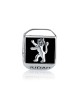 Sterling Silver Square Lion of Judah Charm | Judaica Charms